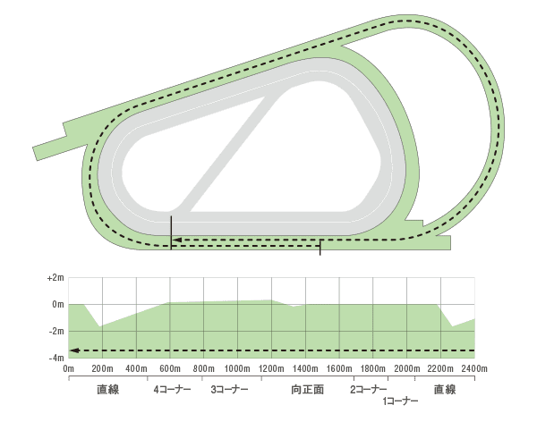 阪神芝2400m外