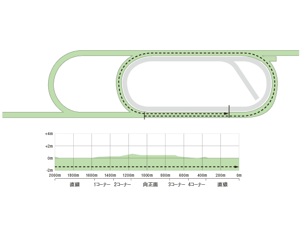 新潟芝2000m